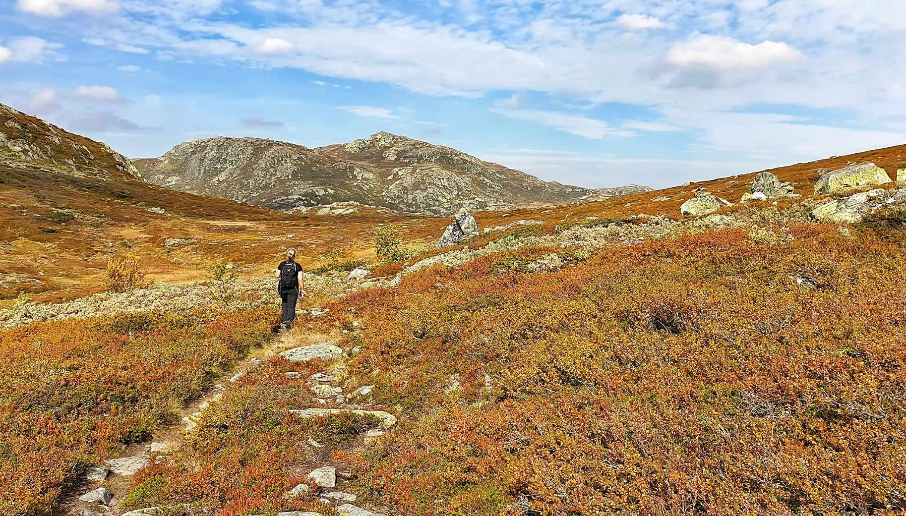 Leiligheter med fjellutsikt på Rauland Høgfjellshotell i Rauland, Telemark
