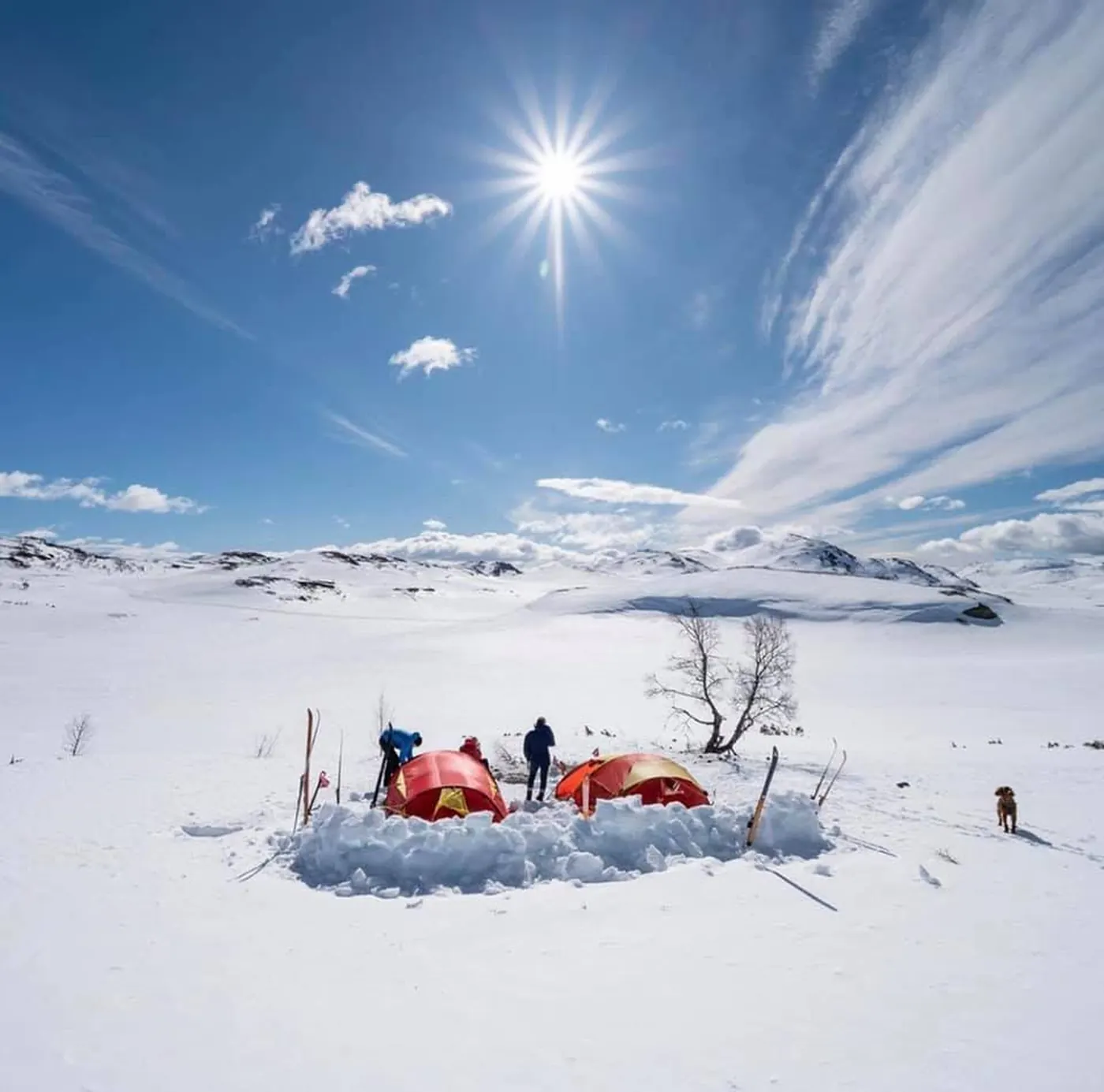 Telttur med vinterleir i snøen på Hardangervidda