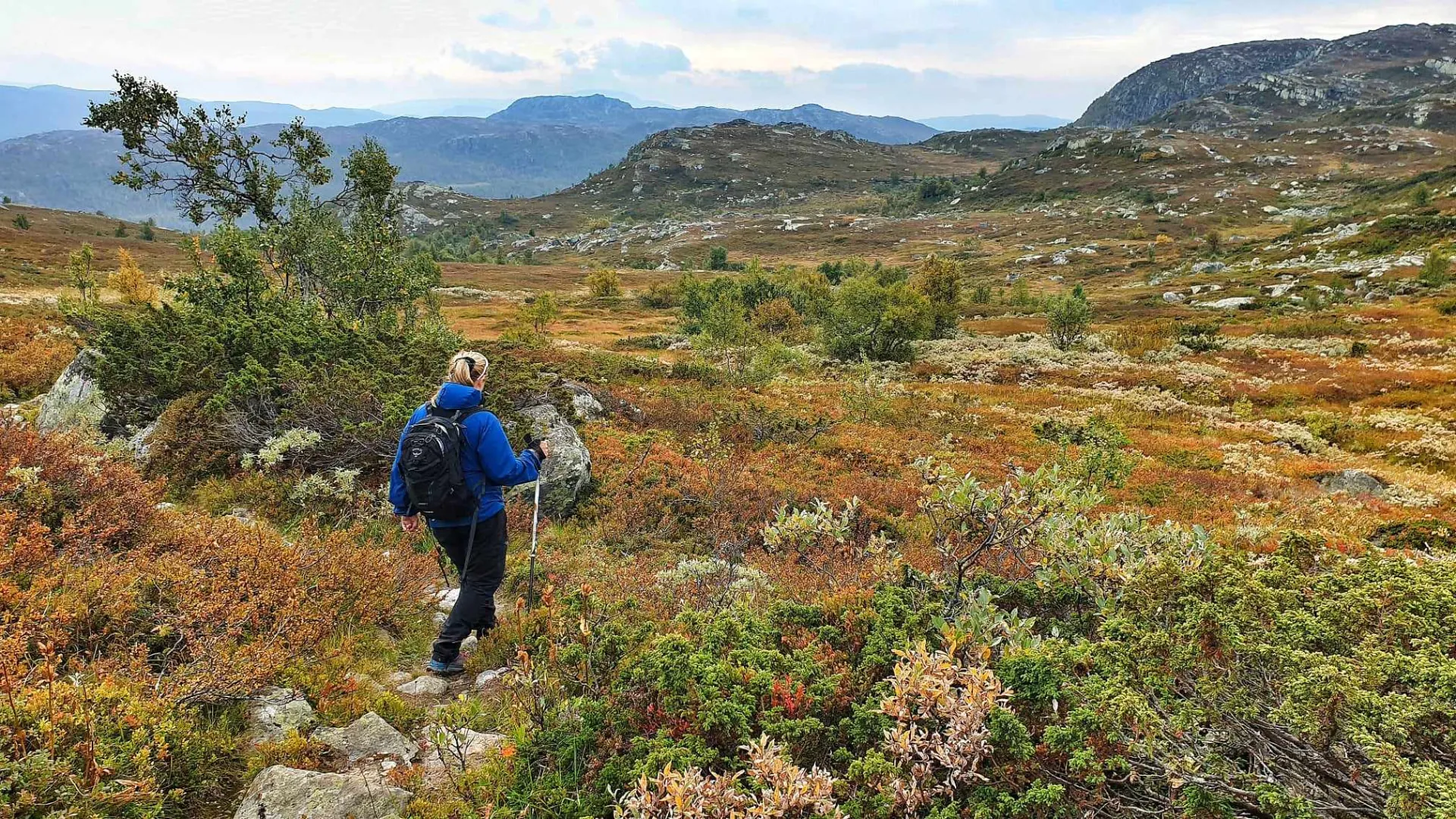 Turgåer i blå jakke går nedover sti med utsikt over viddelandskap