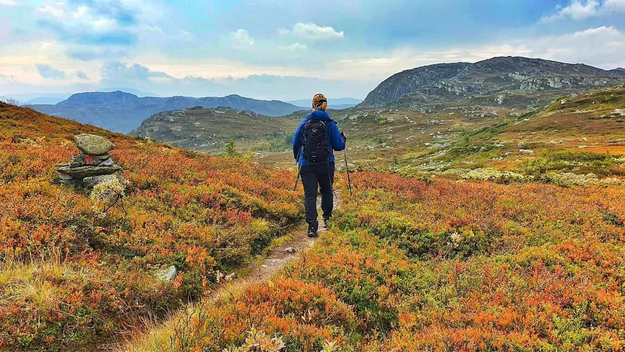 Turgåer i blå jakke på merket sti gjennom oransje høstlyng