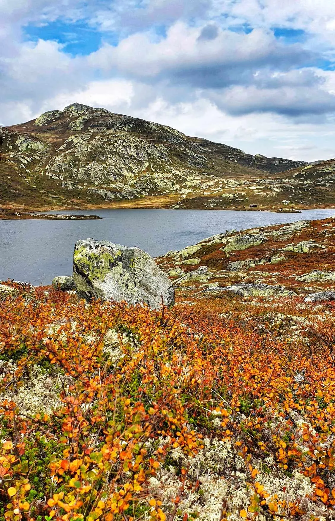 Fjellvann og bergknaus med høstlyng i forgrunnen